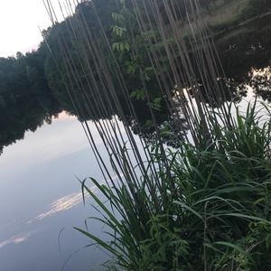 Meet your Posher, Cheryl brock